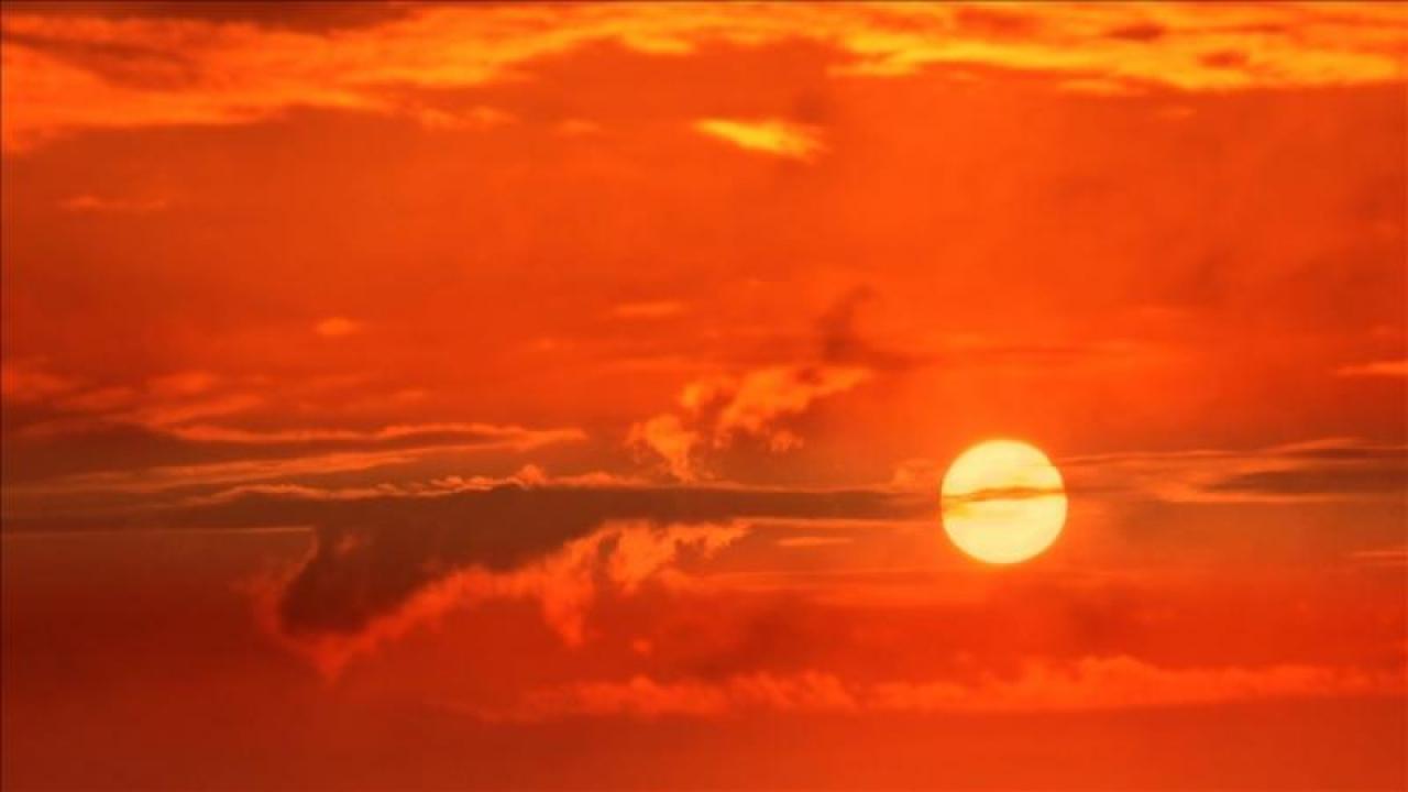 Dakikada 1 kişi ölüyor! Sıcaklık artışında küresel alarm!