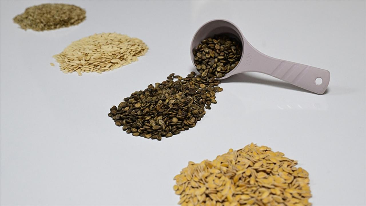 Güneydoğu'dan Afrika'ya hububat ihracatı yüzde 18,9 arttı