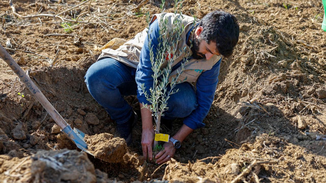 İHH’dan 3 ildeki çiftçilere 25 bin fidan desteği