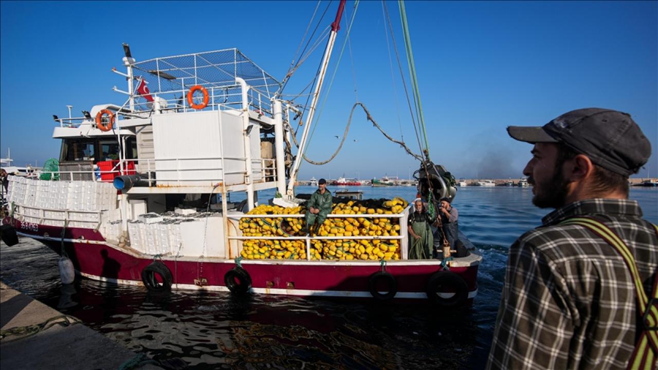 Maaşlar 100 bin TL'ye çıktı! Balıkçılar eleman bul…
