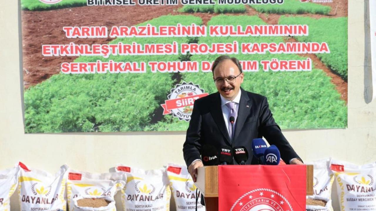 Çiftçiye destek: 203 ton tohum dağıtıldı!