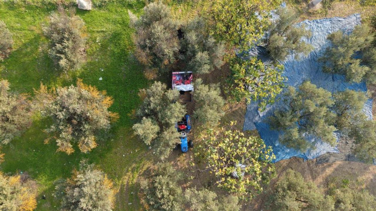 Hasat başladı! Marmarabirlik'ten 70 bin tonluk alım hedefi