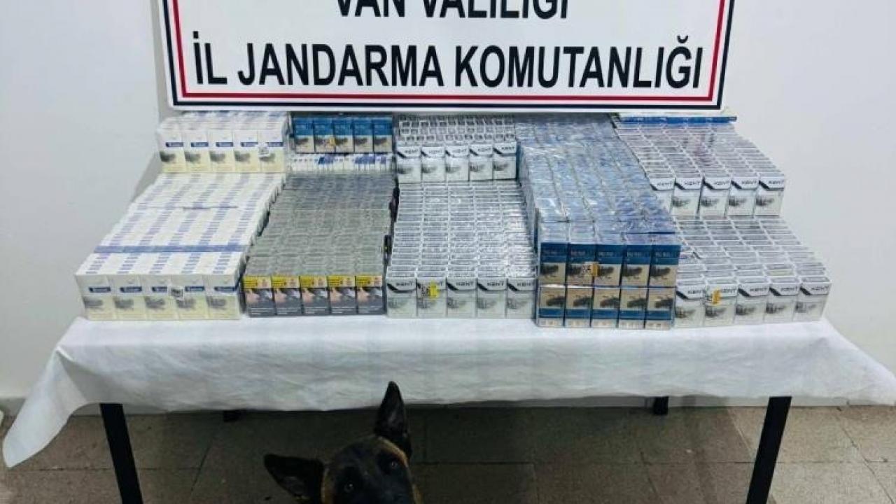 Van'da 3 bin 75 paket kaçak sigara ele geçirildi