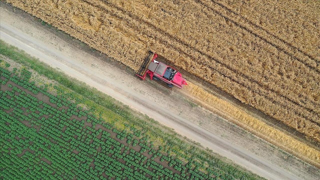 FAO'dan Türkiye'deki projelere 8,1 milyon dolarlık kaynak