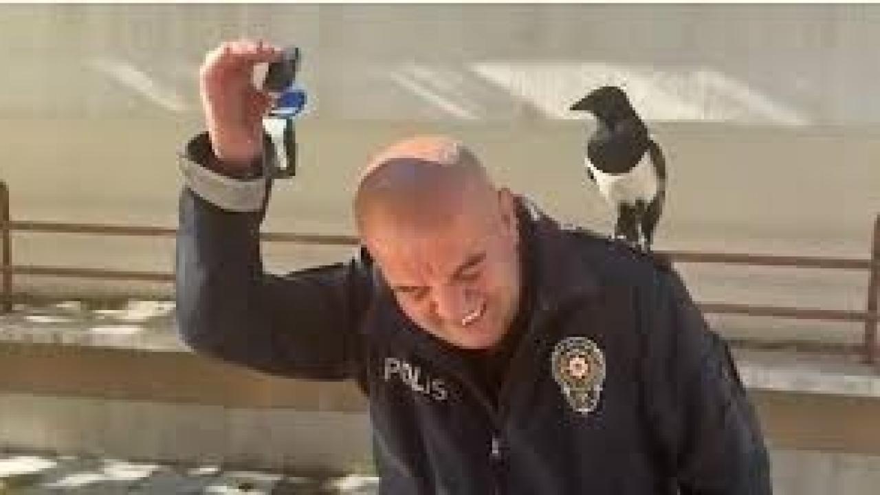 Ankara’da polis ile saksağanın güldüren dostluğu
