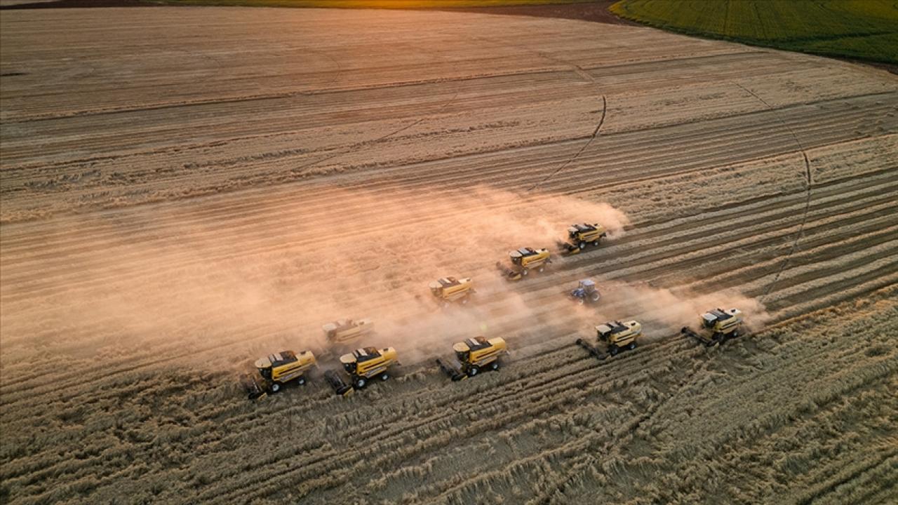 Türkiye tarımda 7 üründe dünya lideri oldu, 22 üründe ilk üçte yer aldı