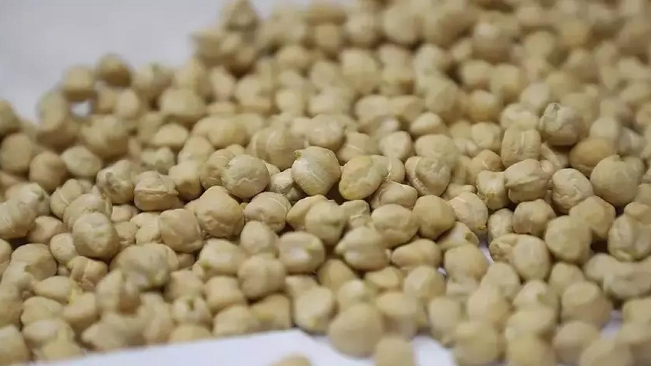 Ticaret Bakanlığı'ndan ''nohut'' kararı