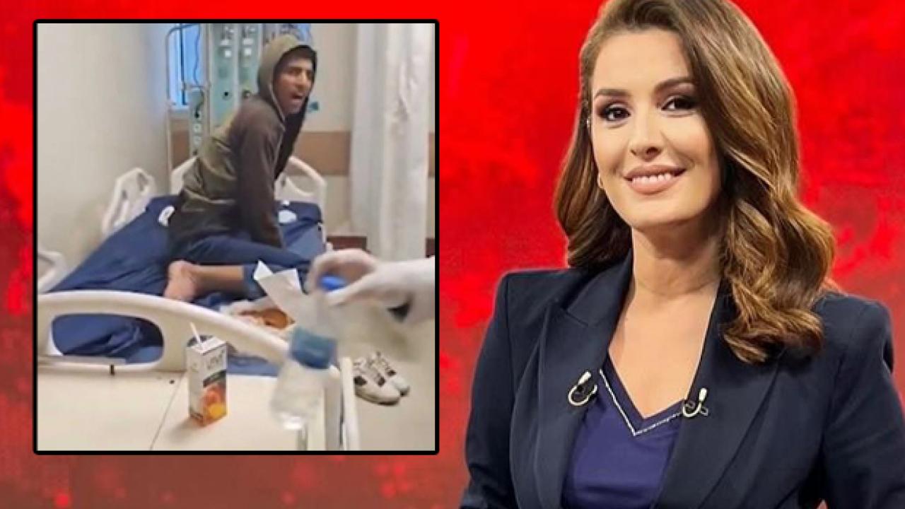 Sözcü spikerinden başıboş köpeklerle ilgili karara skandal tepki! Kuduzdan ölen vatandaş..