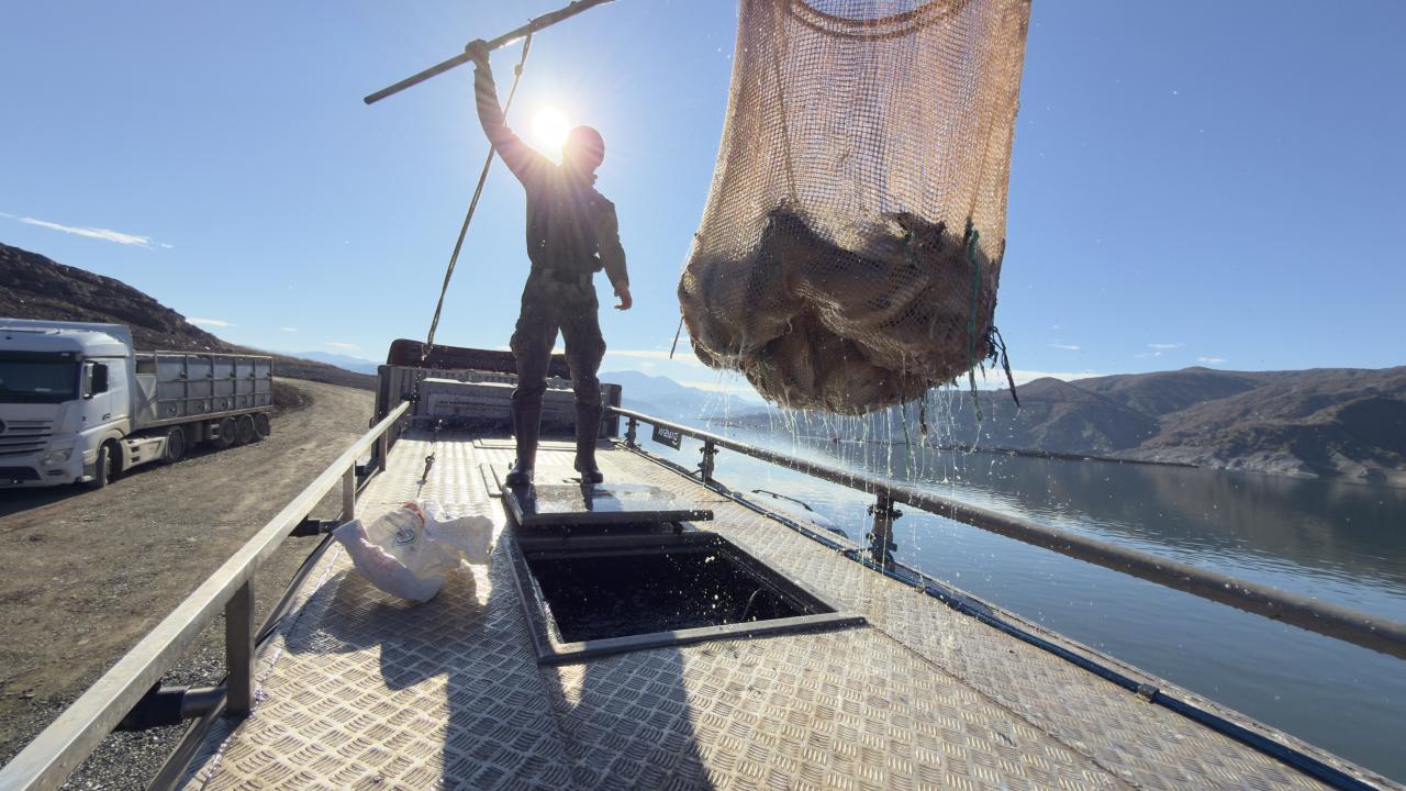 Denizi olmayan şehirden Japonya ve Avrupa'ya somon…