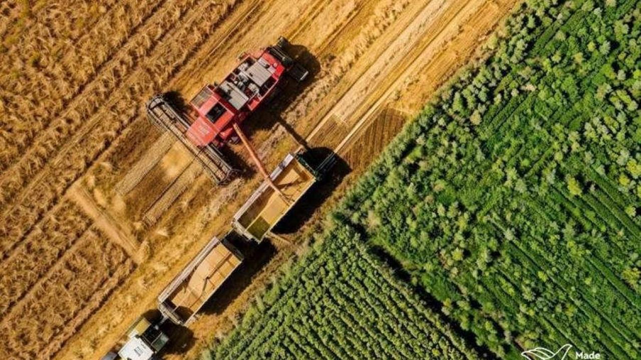 Rusya’dan Türkiye’ye tarım ihracatı %85 arttı: Made in Russia artışta nasıl bir rol oynadı