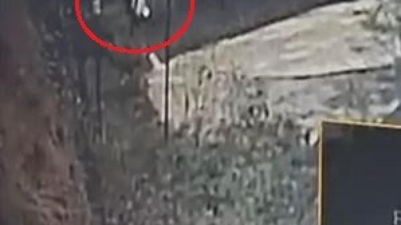 28 yıl önce ölen babasıyla aynı gün hayatını kaybetti: Dayı ile yeğenin acı sonu