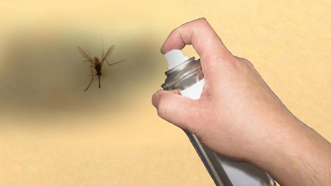 Böcek ilaçlarının satışında yeni düzenleme: Reçetesiz ve internetten satışı yasaklandı Böcek ilaçlarının satışında yeni düzenleme: Reçetesiz ve internetten satışı yasaklandı