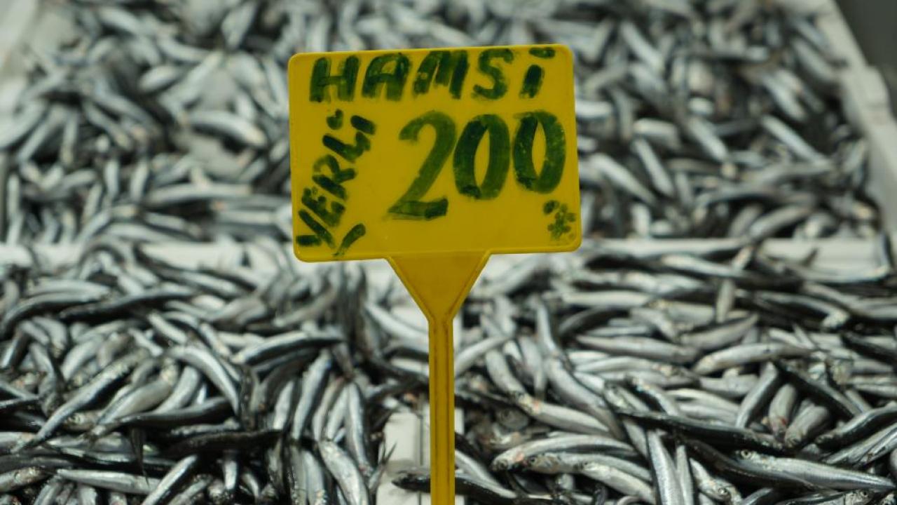 Hamside bolluk azaldı, fiyatı 200 TL'ye çıktı