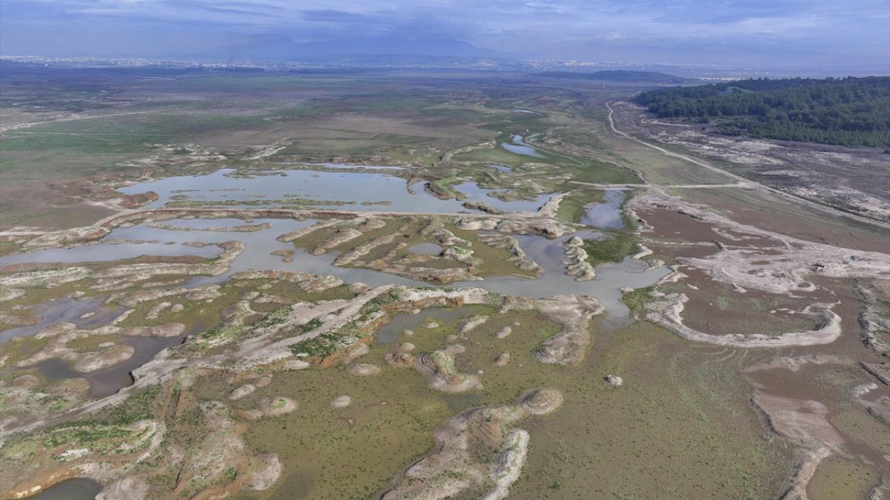 İzmir'de barajlar kuruyor, kritik eşik aşıldı: Önümüzdeki yaz daha tehlikeli olacak!