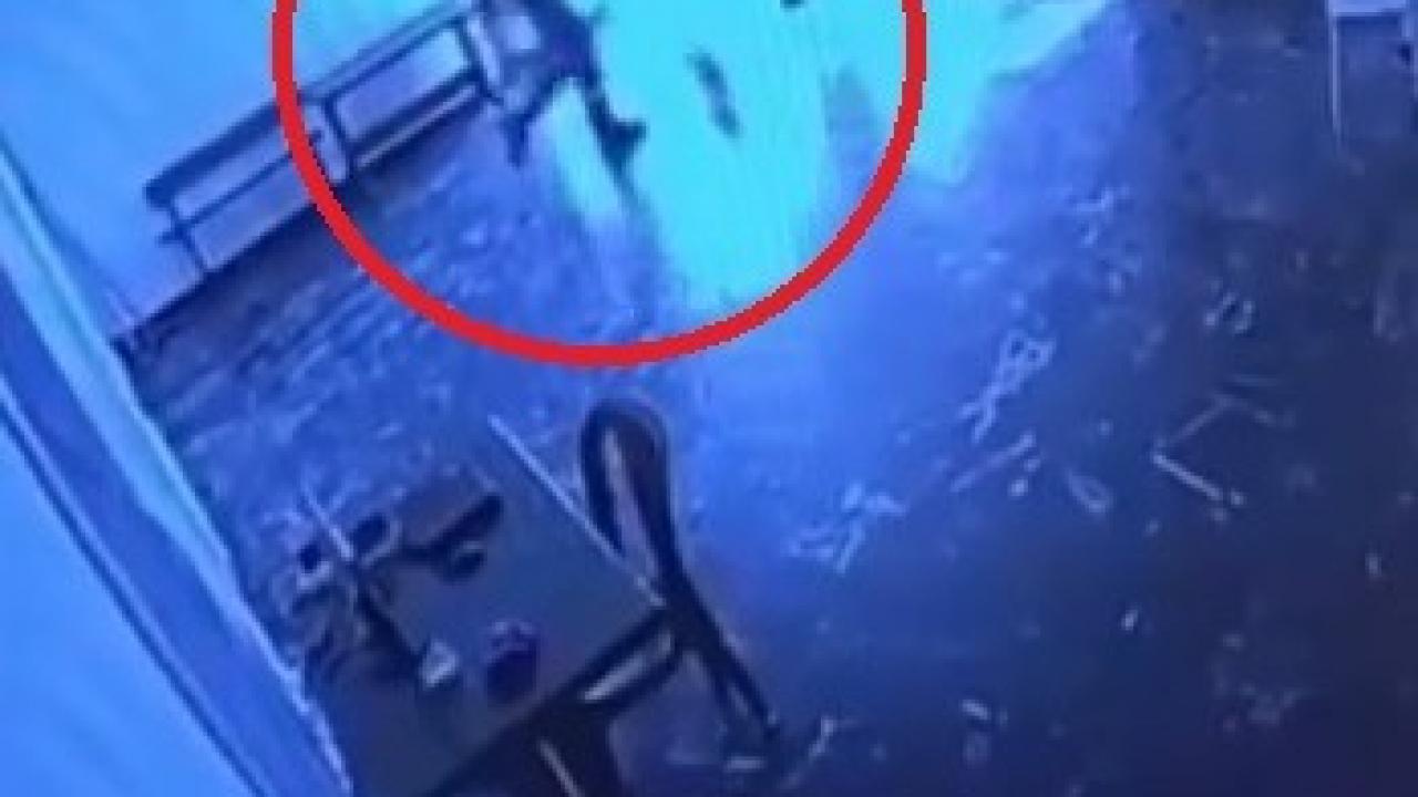 Belediyeye ait tesiste kediye tekme attı