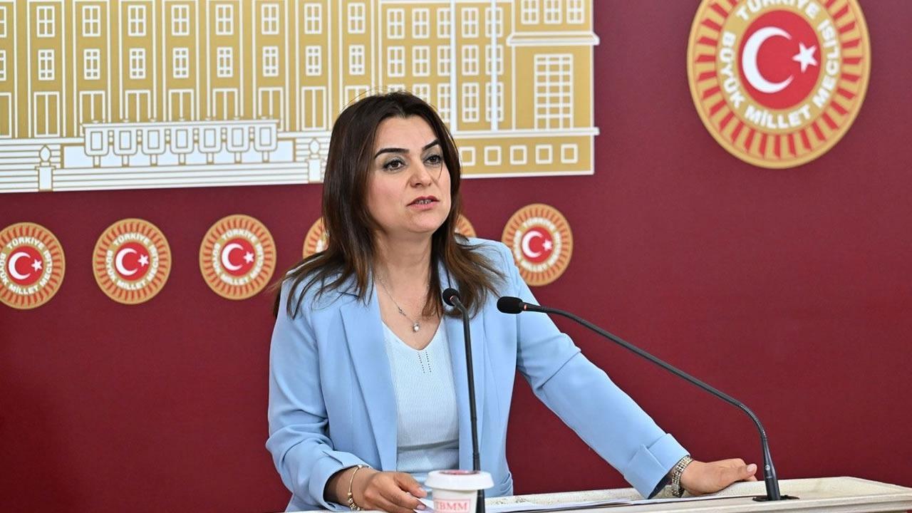 DEM'li Koçyiğit: 'Silahların susması bir sonuç değil, başlangıçtır'
