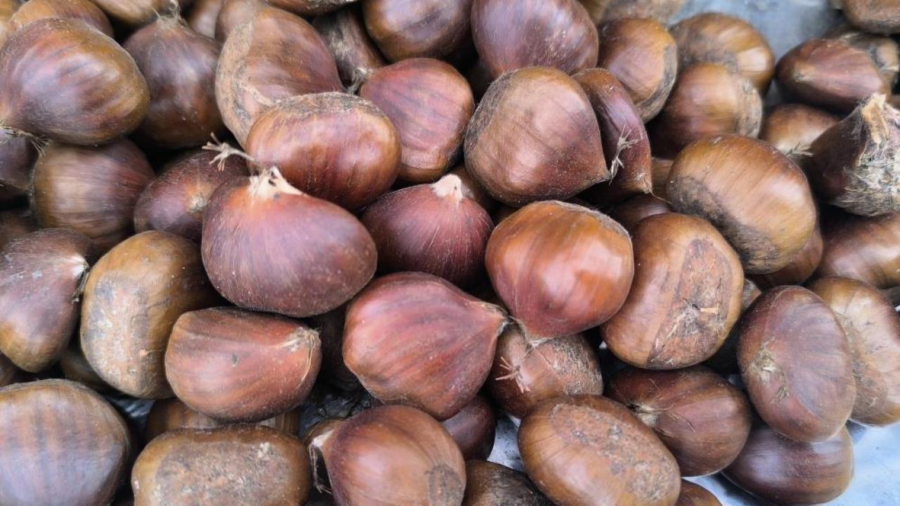 Kış sofralarının vazgeçilmezi! Kestane, fiyatıyla yüzleri güldürüyor