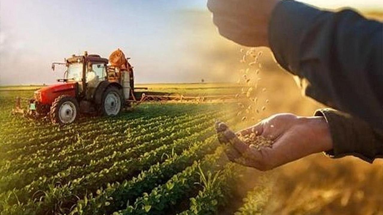 Başvurular 31 Aralık'ta sona erecek! TZOB'tan uyarı geldi