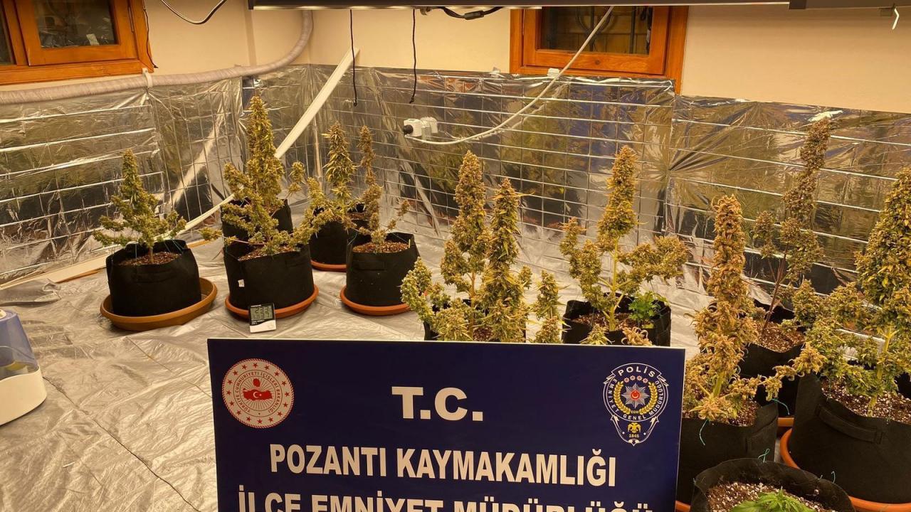 Torbacı sevgililer yakayı ele verdi: Villada uyuşturucu yetiştirmişler
