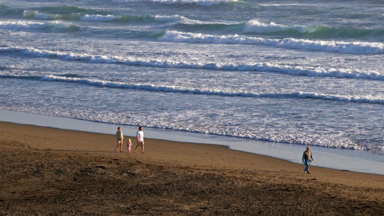 27 yıllık kayıp davasını bir deniz kabuğu çözdü