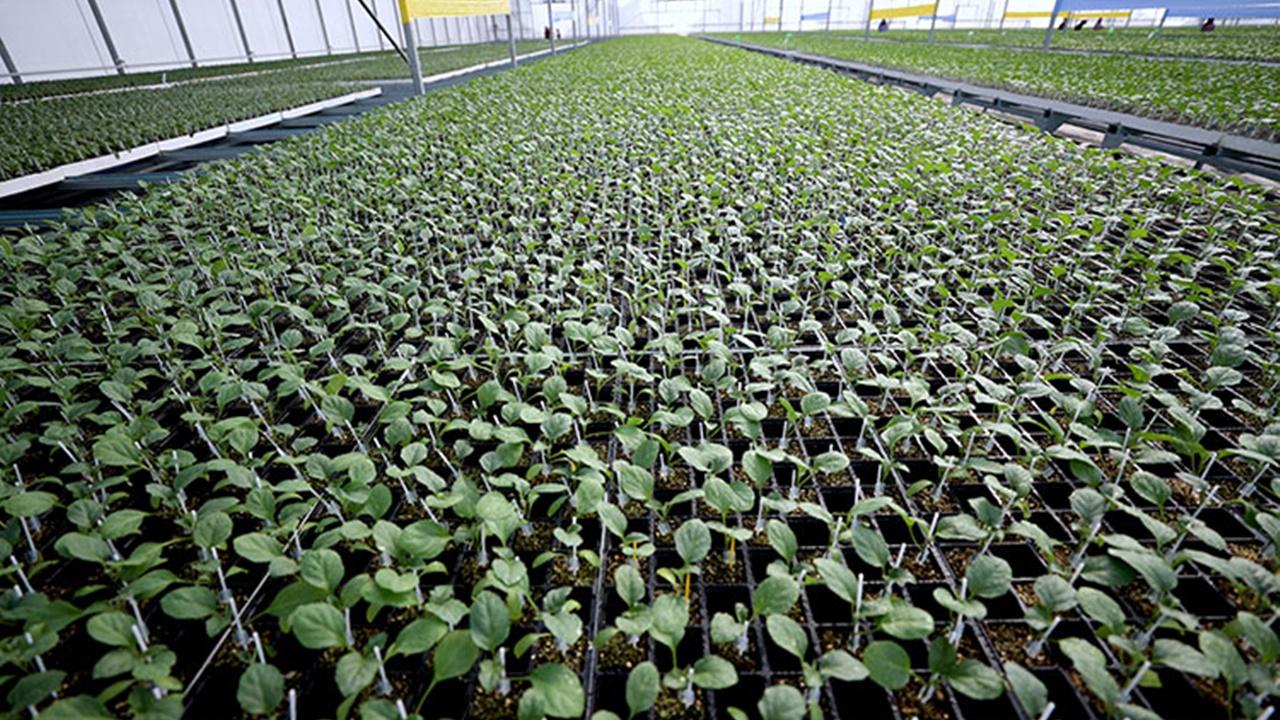 Arkadaş desteğiyle başlamıştı: Şimdi bölgenin tedarikçisi oldu!