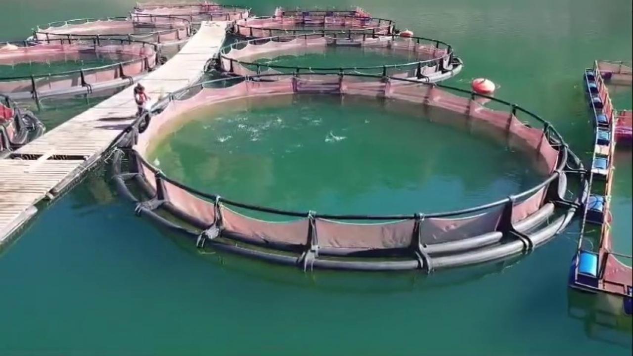 3,3 milyar TL'lik dev yatırım! TKDK hibeleriyle şehir şaha kalktı