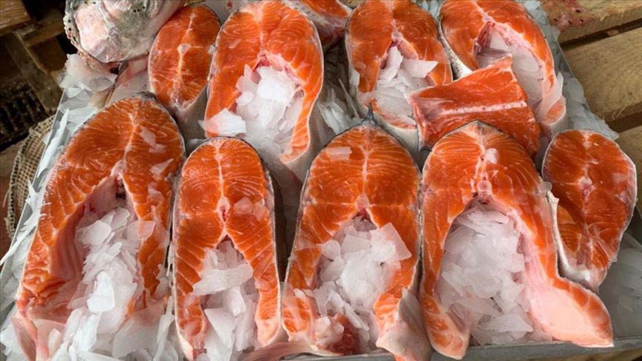 Türk somonuna talep büyük! 91 milyon doları aştı