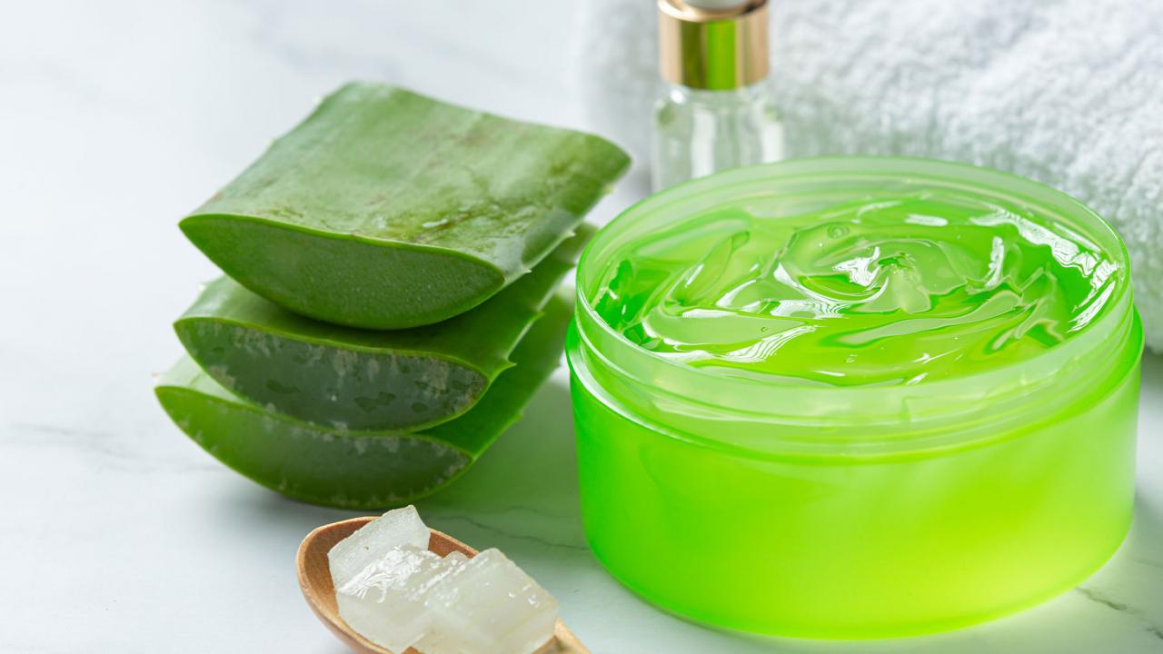 Aloe Vera Jeli: Güneşin Panzehiri Aloe Vera Jeli: Güneşin Panzehiri