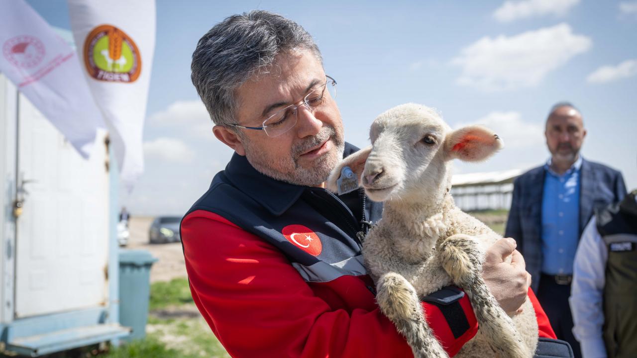 Bakan Yumaklı müjdeyi verdi: 100 küçükbaş hayvan ve aylık 15 bin TL destek!