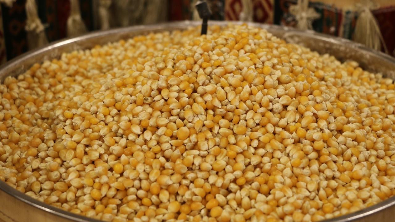 Güneydoğu Anadolu'dan 871 milyon dolarlık hububat ihracatı