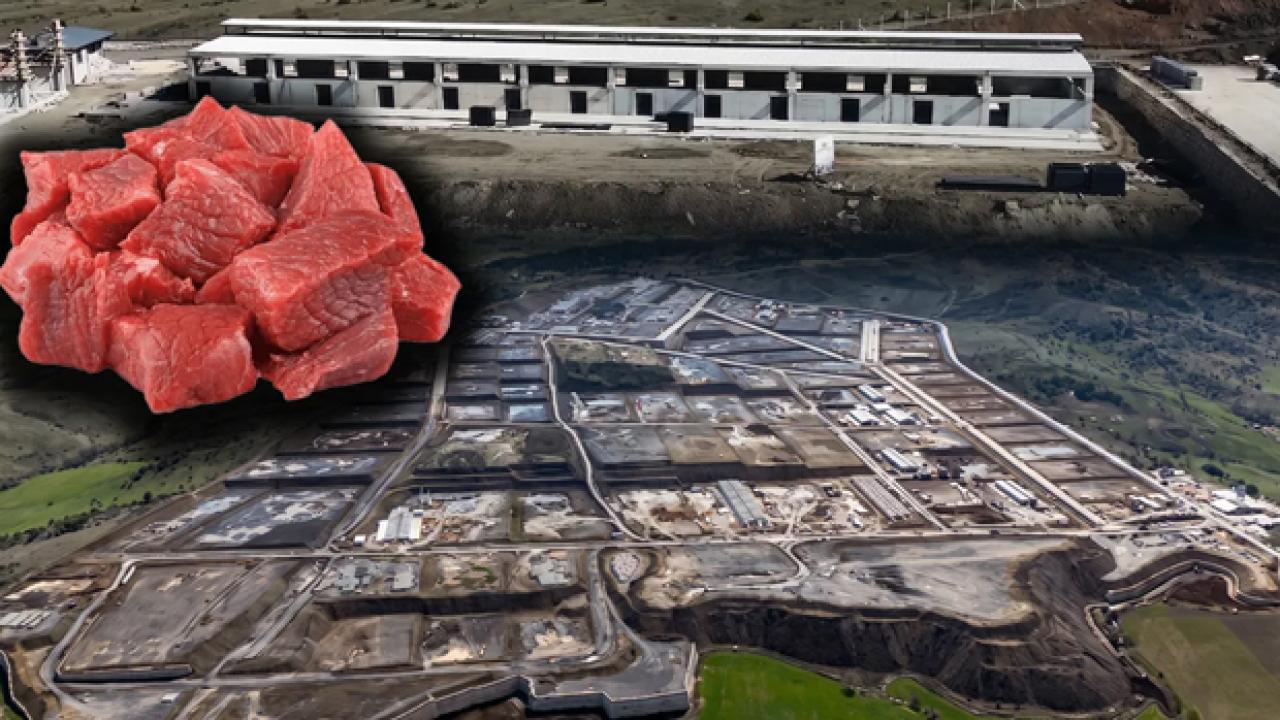 Türkiye'nin yeni et üssü olacak! Fiyatları düşürecek proje