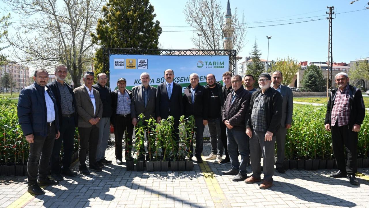 Başkan Altay: Bu yıl çiftçimize 31 bin 420 meyve fidanı desteğinde bulunduk