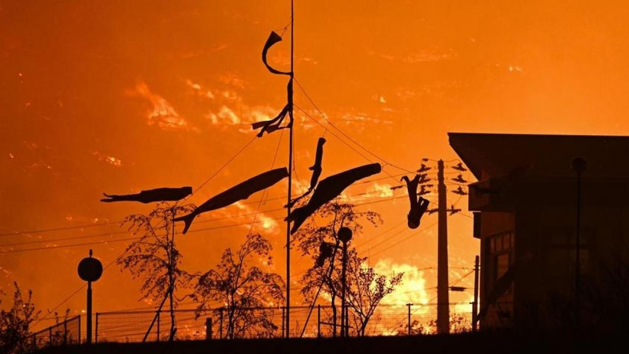 Japonya'da orman yangını: 200 hektarlık alan kül oldu!