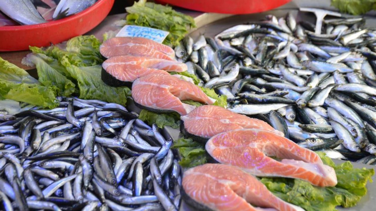 Av sezonu bitse de tezgahlardan balık eksik olmuyor!