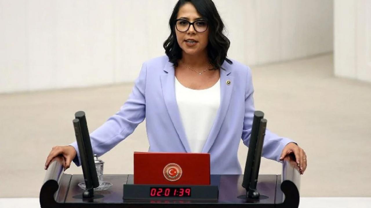 Burcu Köksal'dan TİP'li Kadıgil'e sert tepki: Aldatıldın öyle mi?