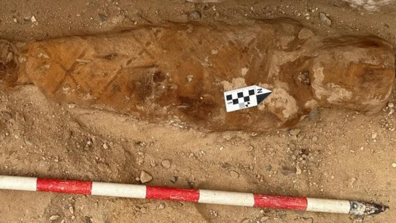 Dünyada bir ilk! Mısır'da bulundu: Mumyanın karnından çıktı