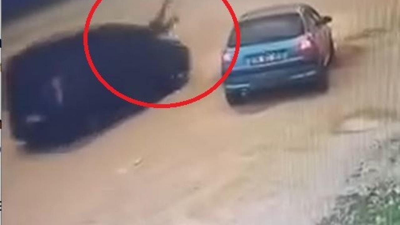 Giresun'da hafif ticari aracıyla husumetlisine çarpıp kaçtı: O anlar kamerada