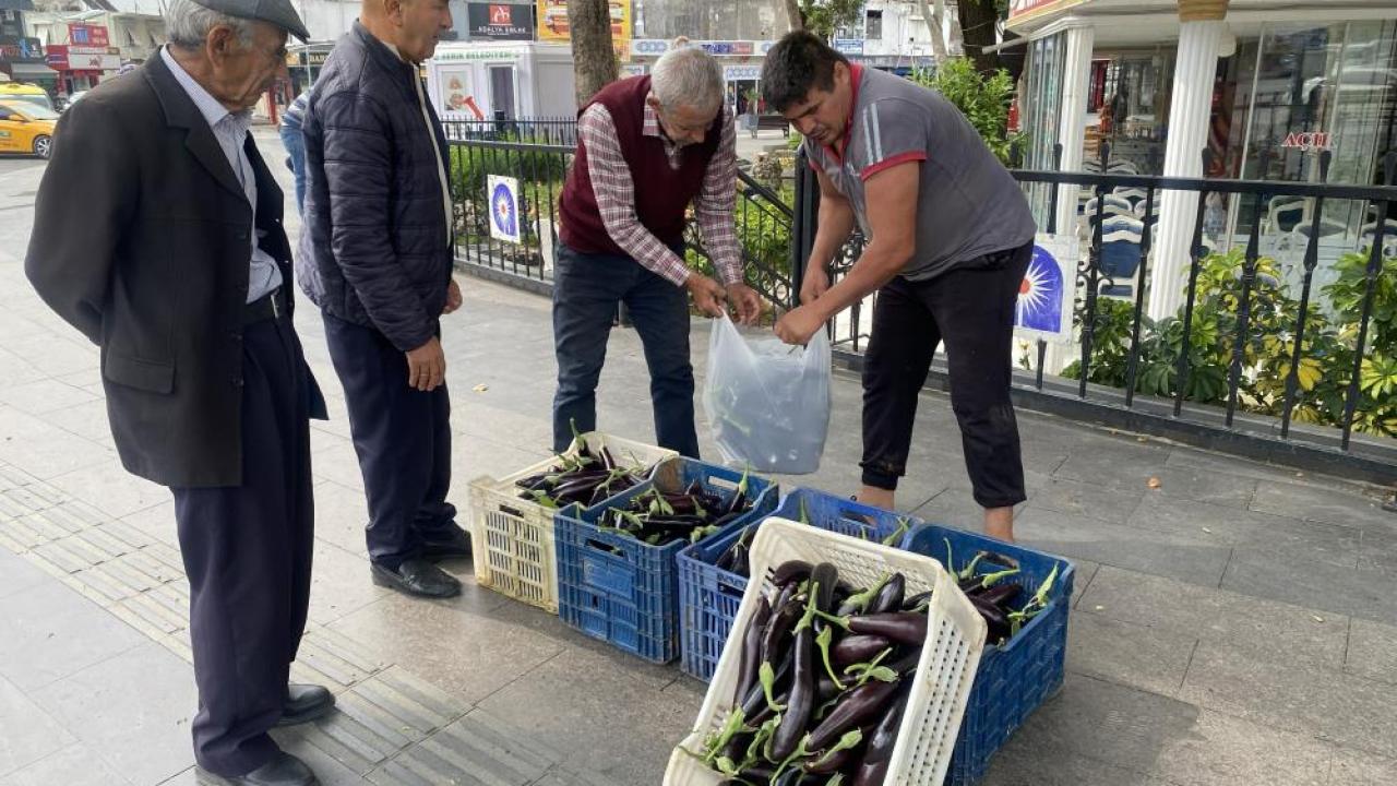 Patlıcanlar maliyetini kurtarmayınca halka ücretsiz dağıttı