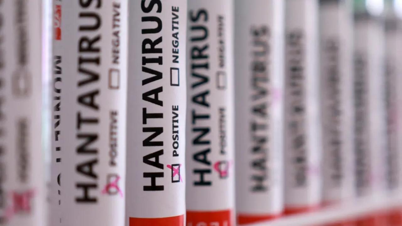 Herkesin aklında tek soru! Hantavirüs insandan insana bulaşır mı?