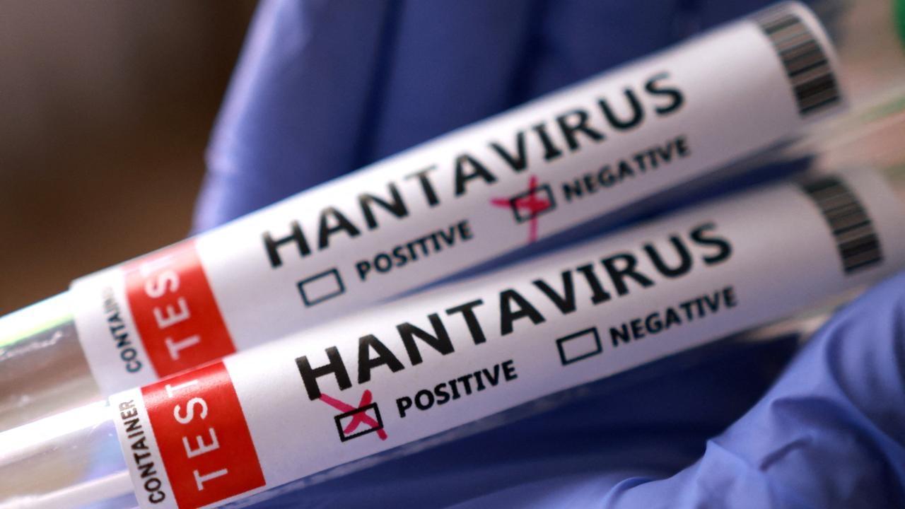 İsrail'de hantavirüs alarmı! İlk vaka kaydedildi