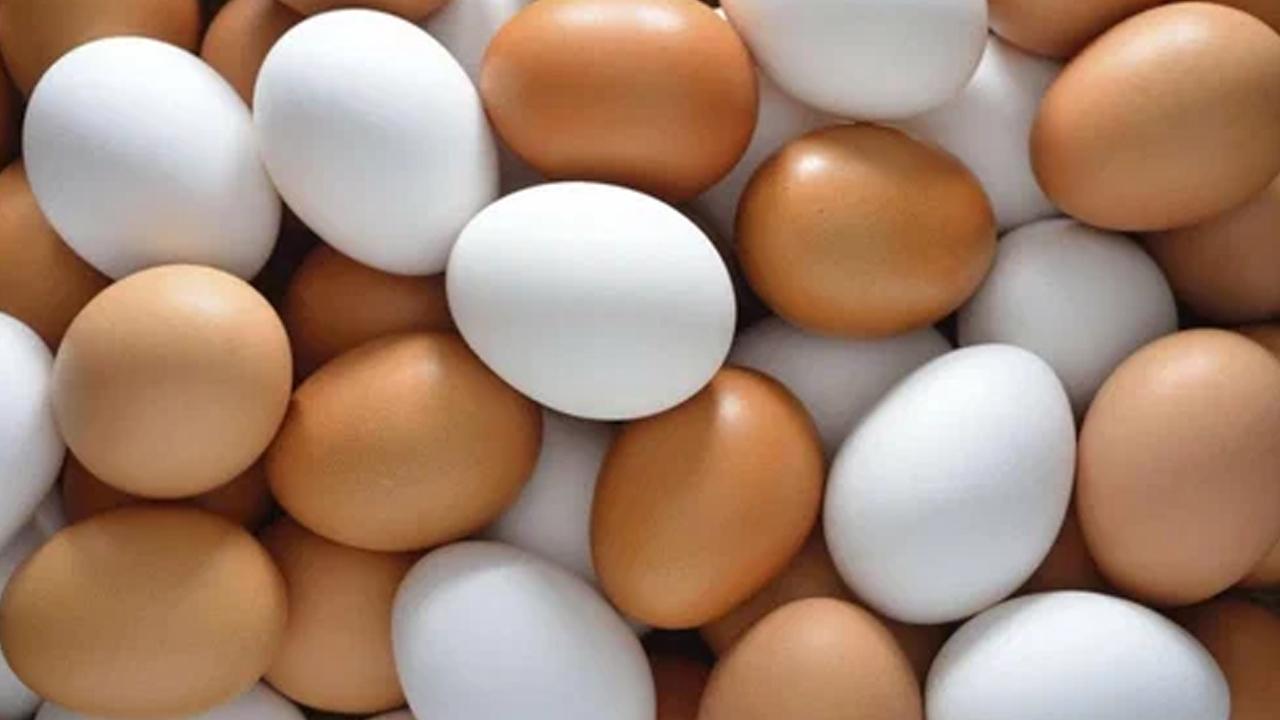 43 senelik köklü tavukçu markasından üzücü haber: İflas etti!