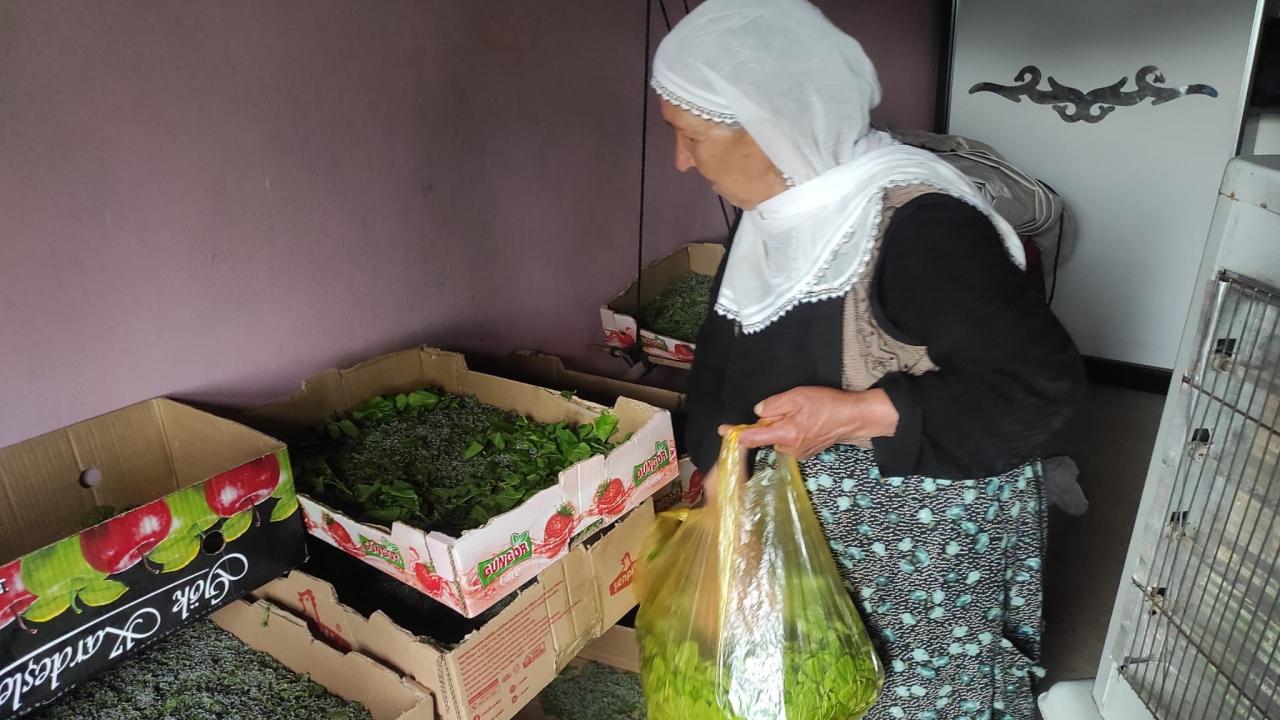 Unutulan iş kolu yeniden canlandırılıyor: Bir aile 40 günde 350 bin TL kazanabilecek