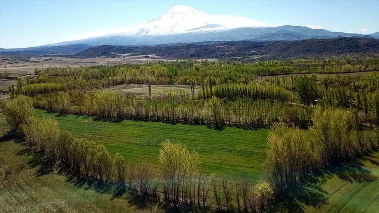 2B arazileri için yeni karar! Fiyat farkı en fazla yüzde 20 olacak