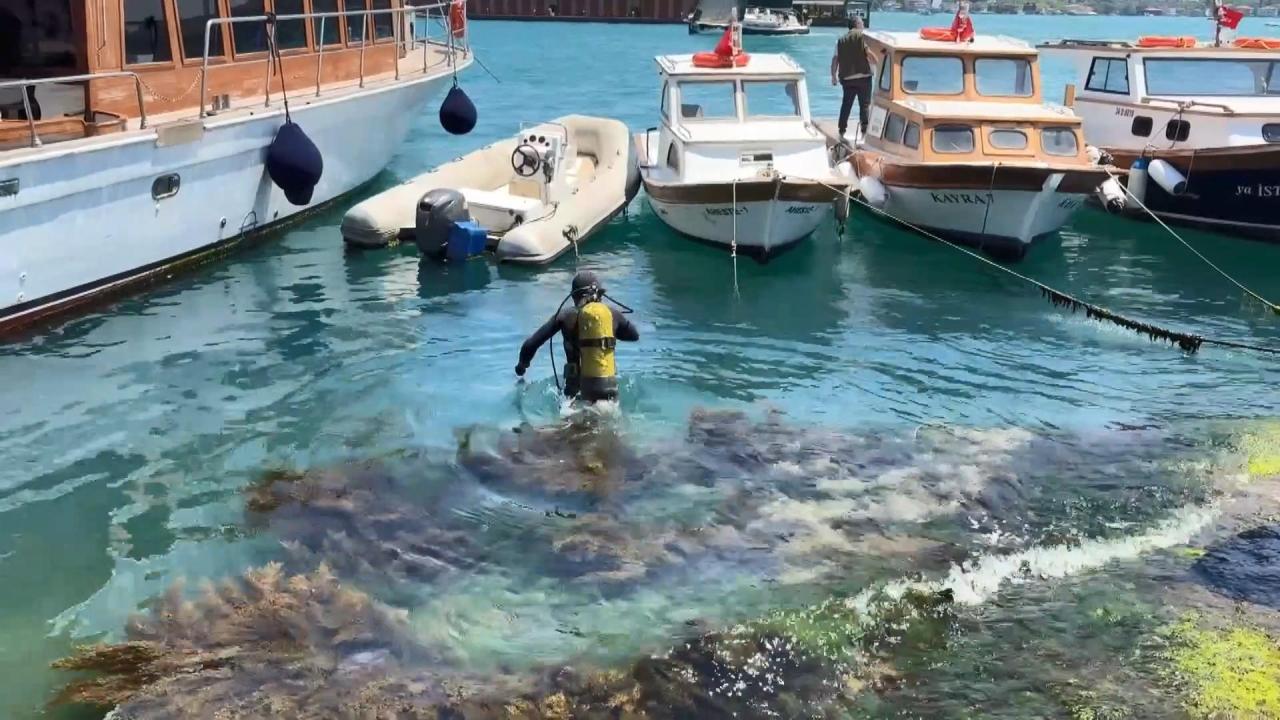 İstanbul Boğazı’nda kahreden olay! Midye için daldı, cesedi 12 saat sonra bulundu