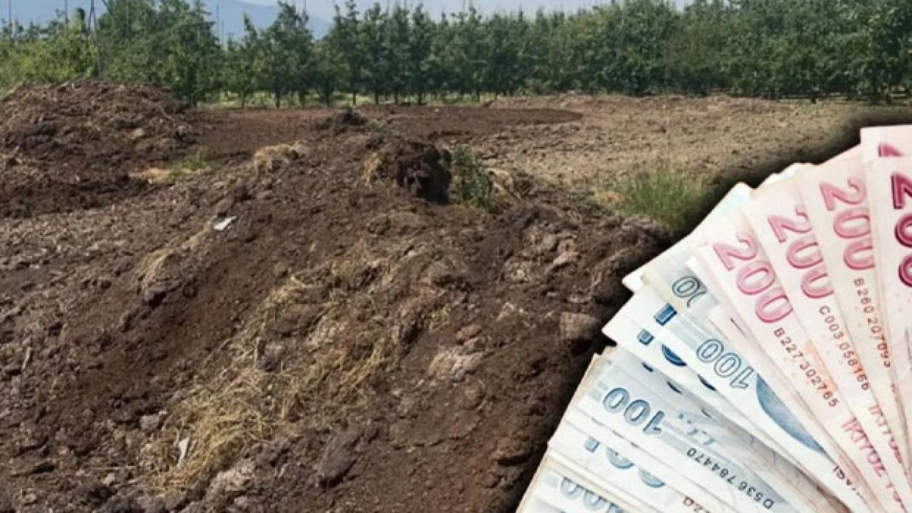 Günlük 5 bin liraya işçi bulamıyorlar! Çiftçiler zorlanıyor Günlük 5 bin liraya işçi bulamıyorlar! Çiftçiler zorlanıyor
