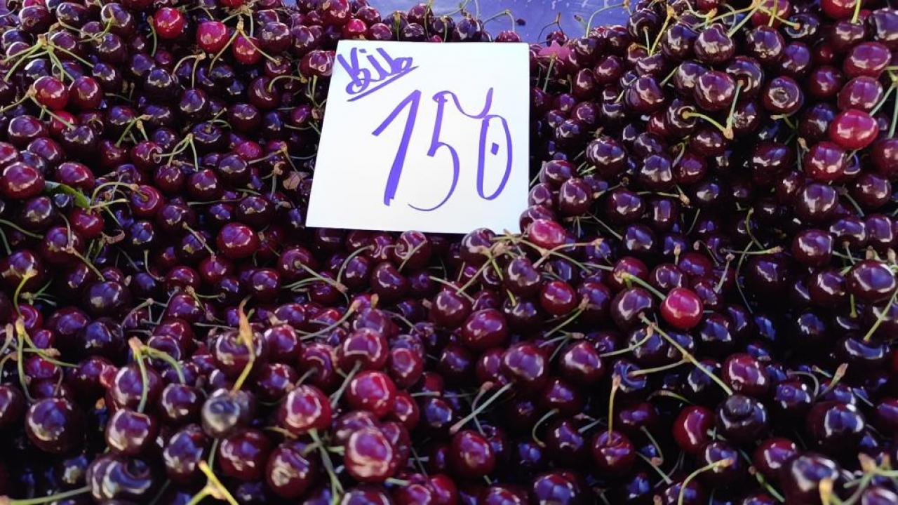 Kiraz fiyatları düşüşte! 100-150 TL’ye geriledi