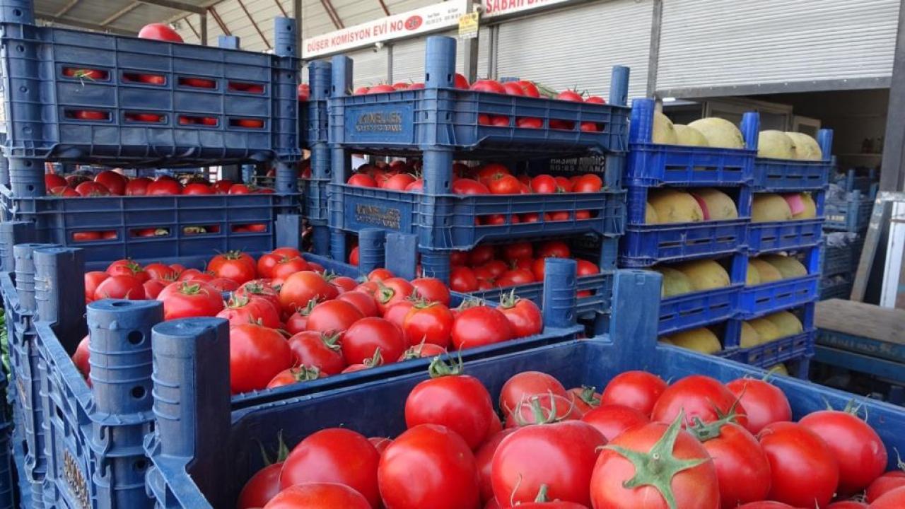 Sebze halindeki domatesin fiyatı 15 TL’ye düştü Sebze halindeki domatesin fiyatı 15 TL’ye düştü