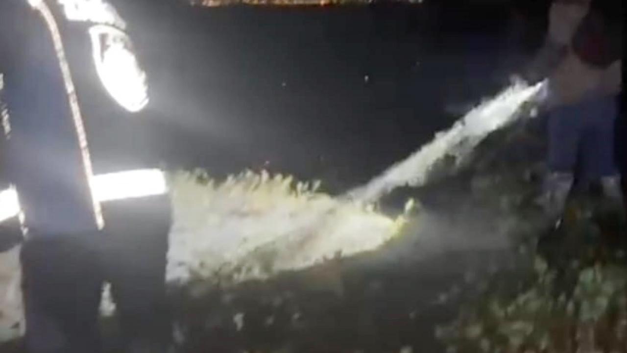 Van’da avladıkları 400 kilo inci kefalinin sevinci kursaklarına dizildi