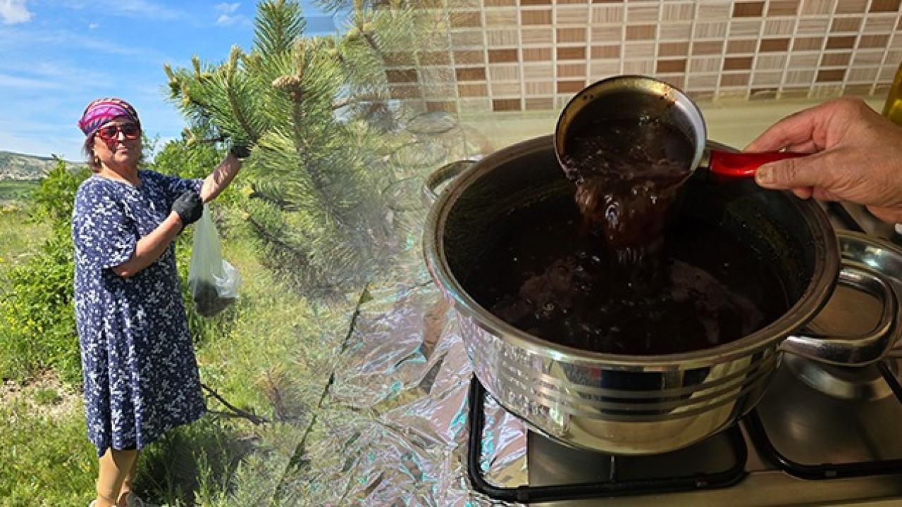 Kocasının hastalığına çare ararken buldu! 18 saat kaynatıyor Kocasının hastalığına çare ararken buldu! 18 saat kaynatıyor