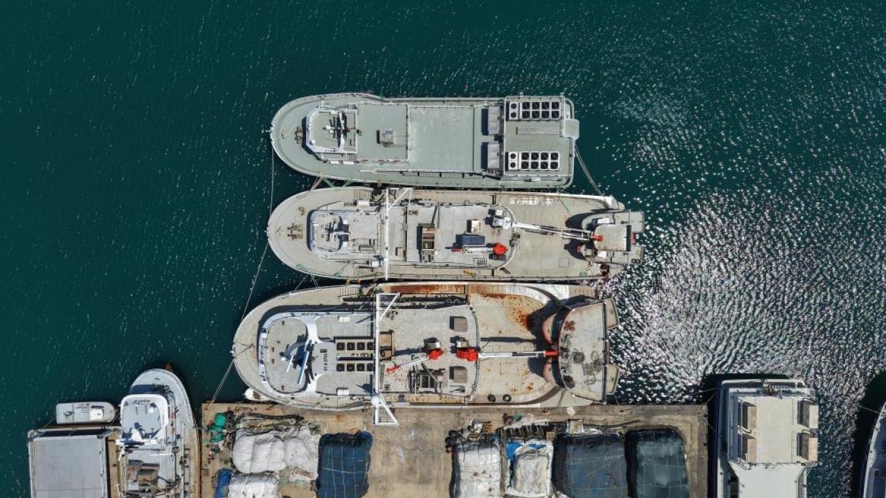 Akdeniz'de orkinos avından dönen balıkçı gemileri